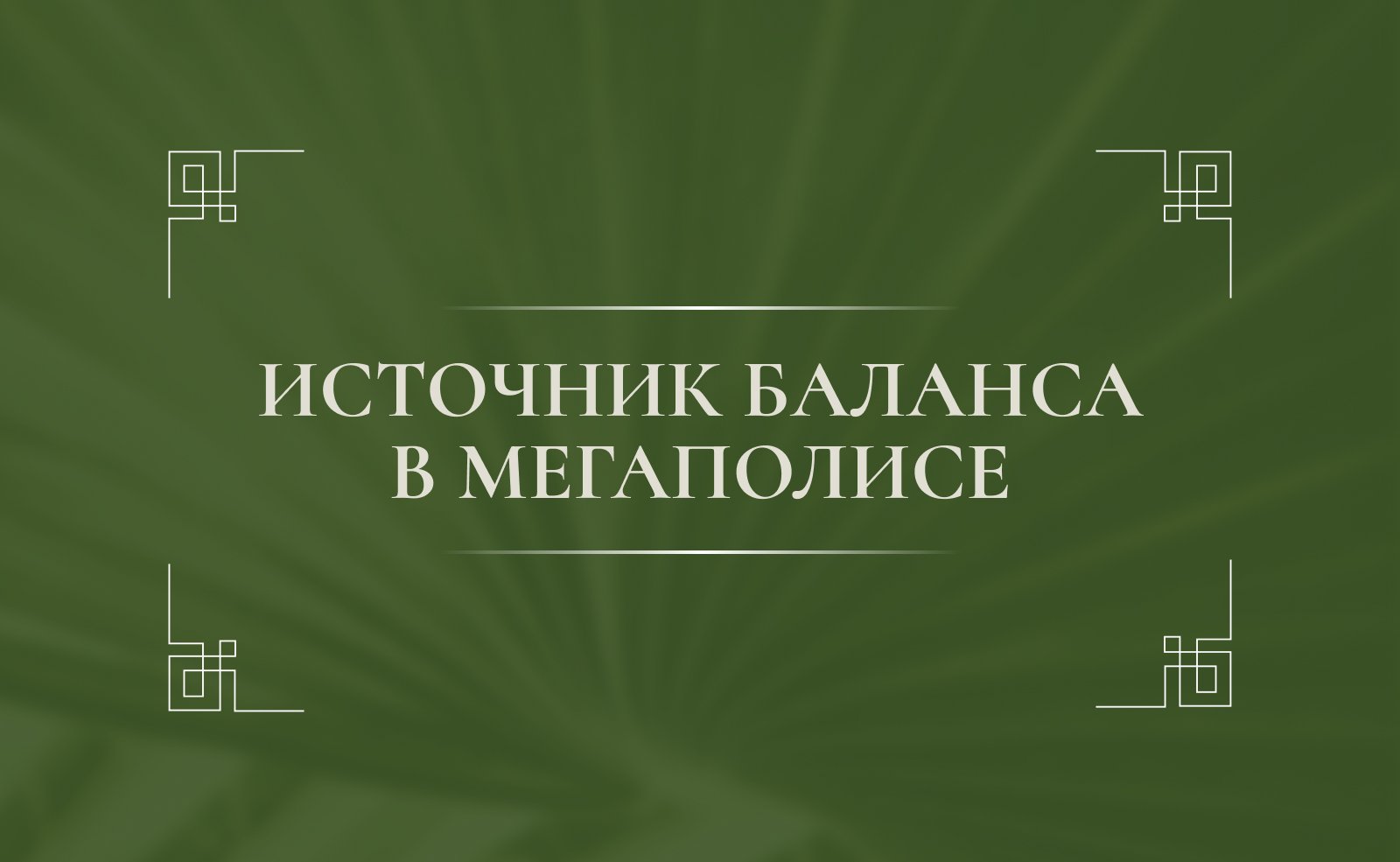 Источник баланса в мегаполисе
